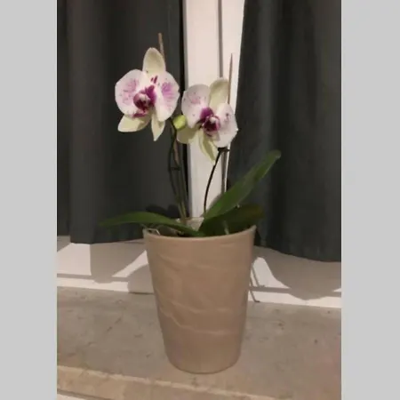 Live Easy With Balcony,netflix, Quiet, Close To Football Stadium, Direct Train Connection, Espresso Maker *